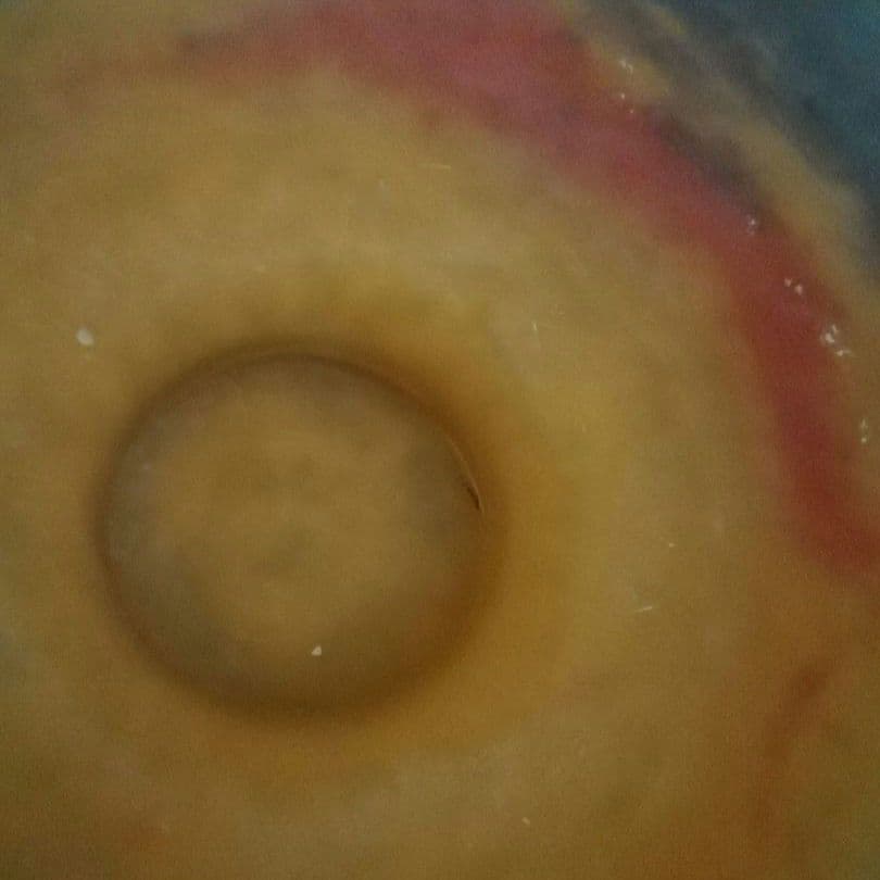 アール・ヌーヴォー　コンポート　アンティーク　ミューラー　ヴィトリオフィカシオン