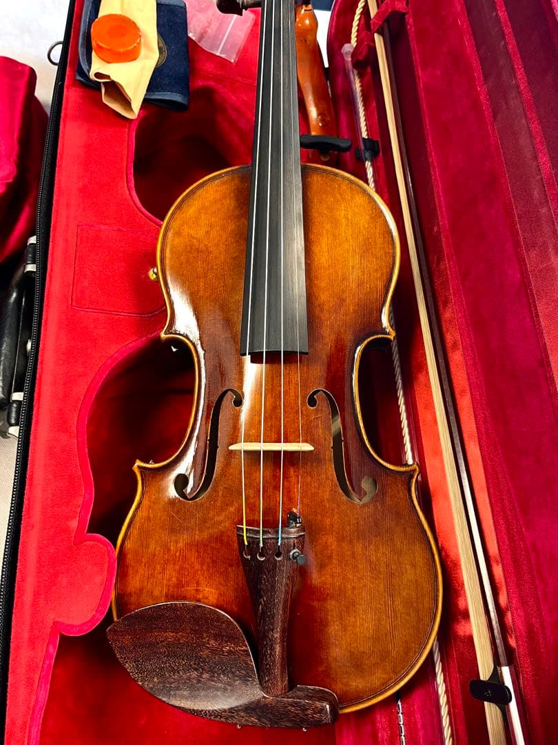 美品フルサイズ バイオリンセット Schon Welleton 2019