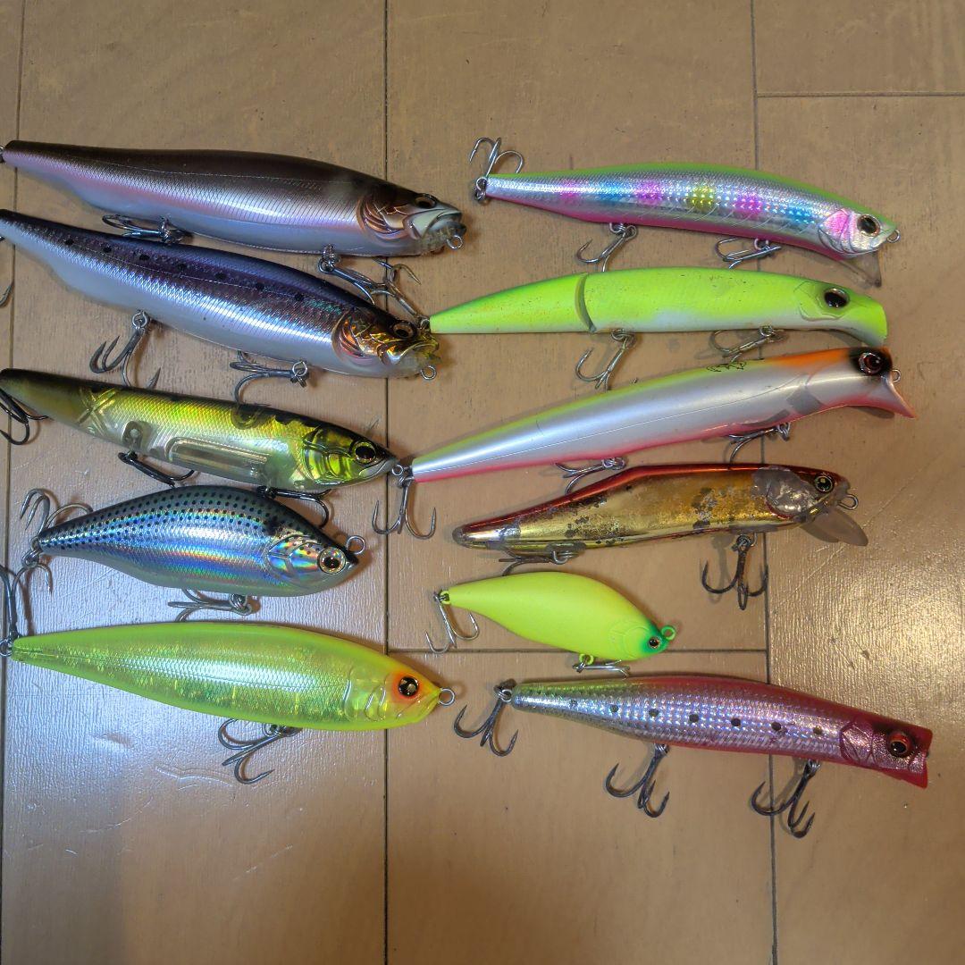 シーバス　　ビックベイト　コノシロ