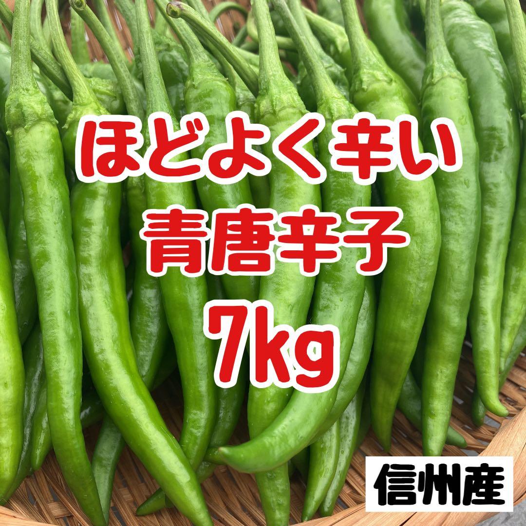 青唐辛子　7キロ　大量　業務用　柚子胡椒　南蛮　青とうがらし