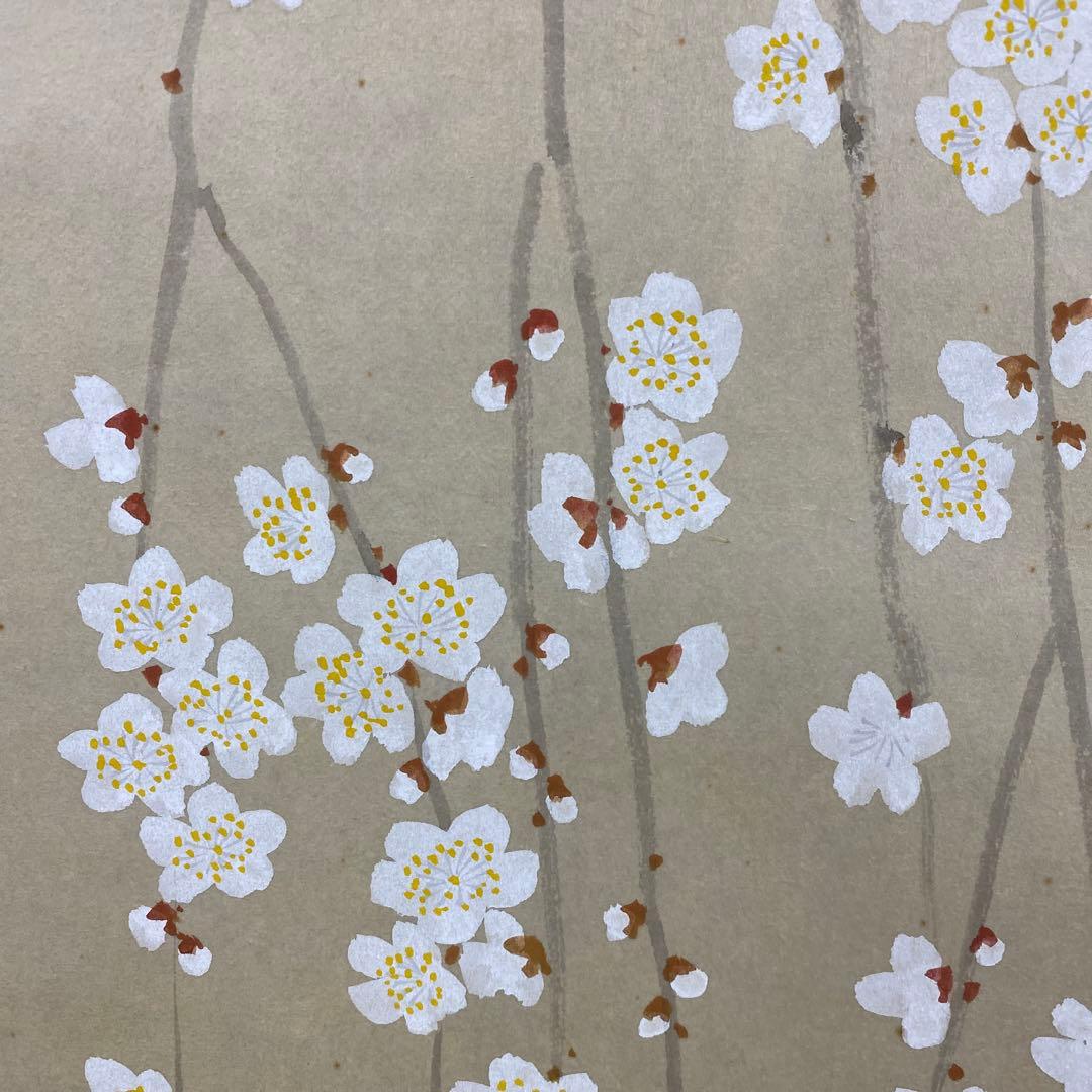 美品 掛け軸 出口華凰作 枝垂梅図 共箱 美術年鑑掲載 縁起物