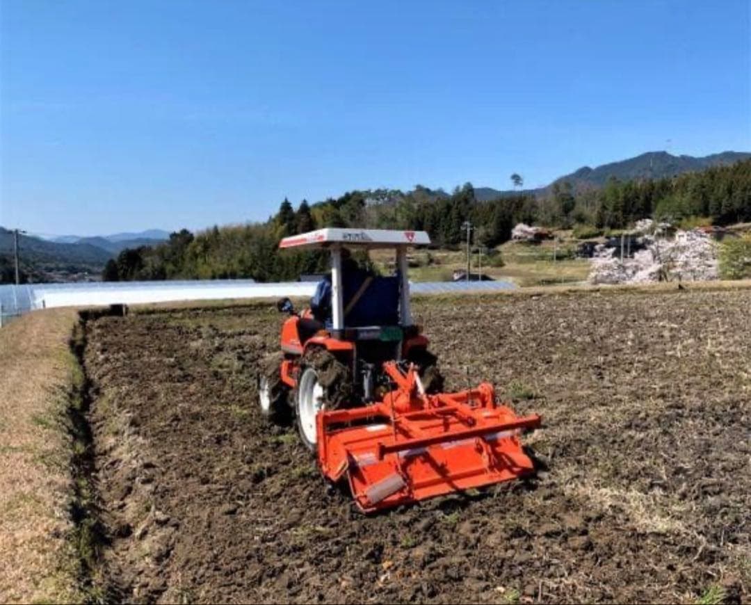 令和7年度産　山口県産（新米）10kgコシヒカリ　白米/玄米　農家直送　送料無料