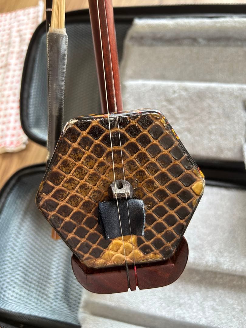 Nora　値下げ⭐️美品　二胡 ケース付き