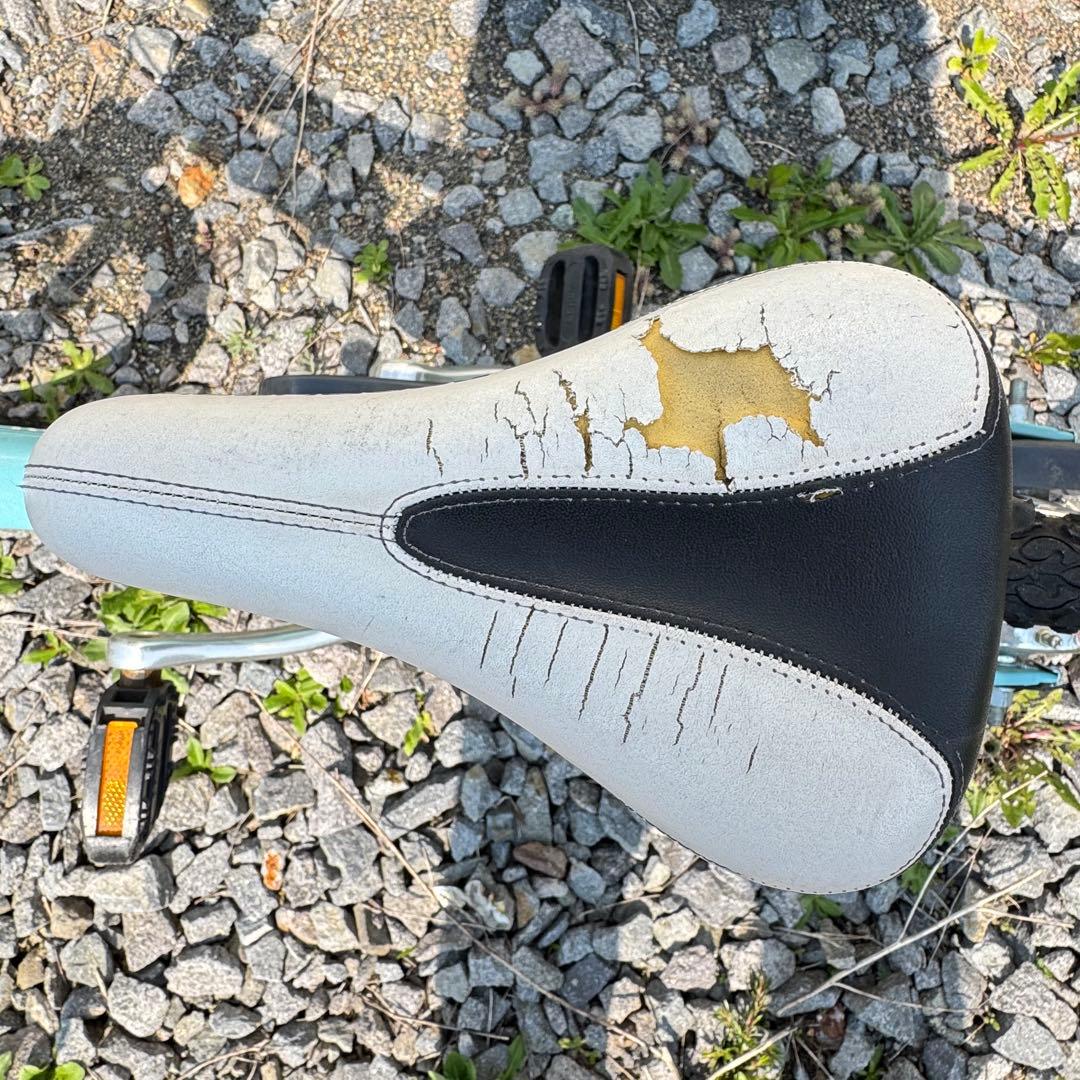 LOUIS GARNEAU 子供用自転車 16インチ 水色