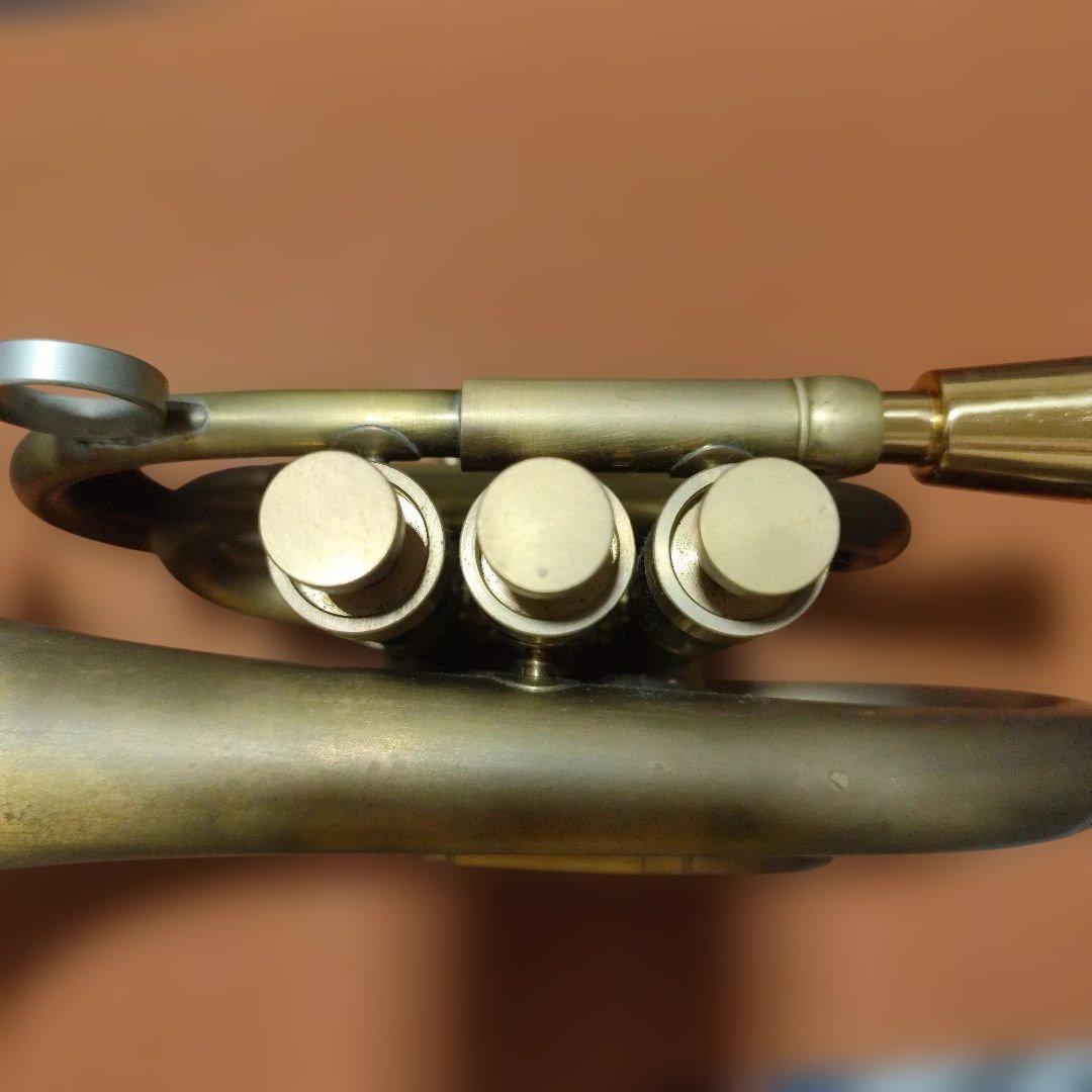 最終値下げ！モネタイプ　ヘビーウェイトポケットトランペット