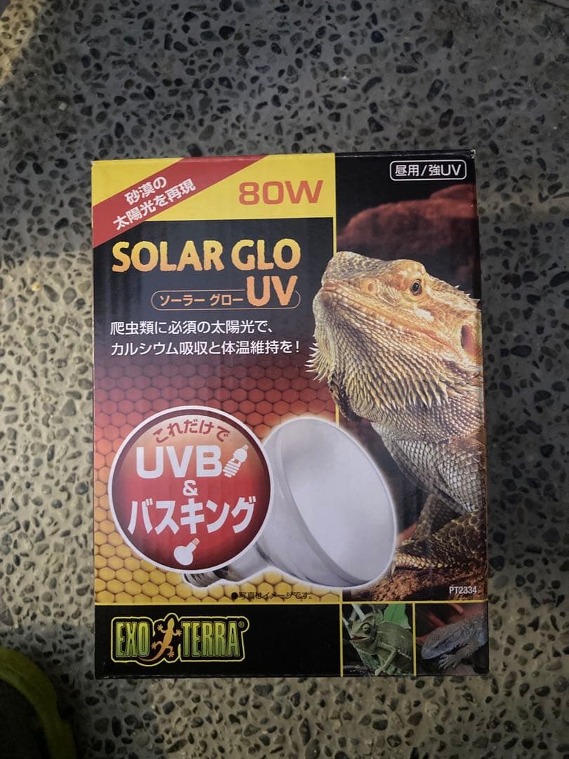 大幅値下げ！爬虫類　ケージセット　レインフォレストタンク