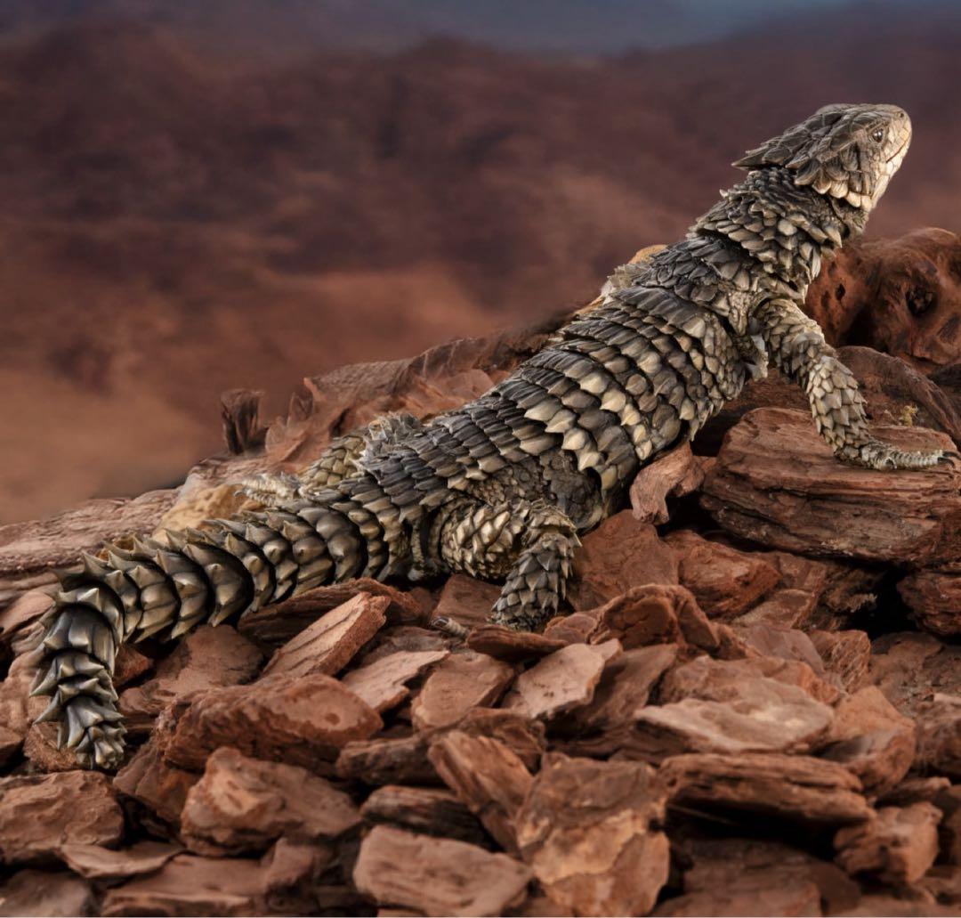 いきもの大図鑑アルティメット オオヨロイトカゲ 新品未開封 ②