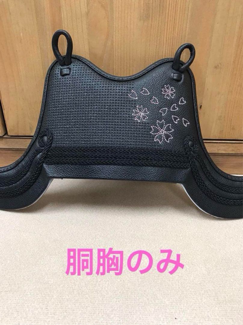 剣道　胴胸のみ