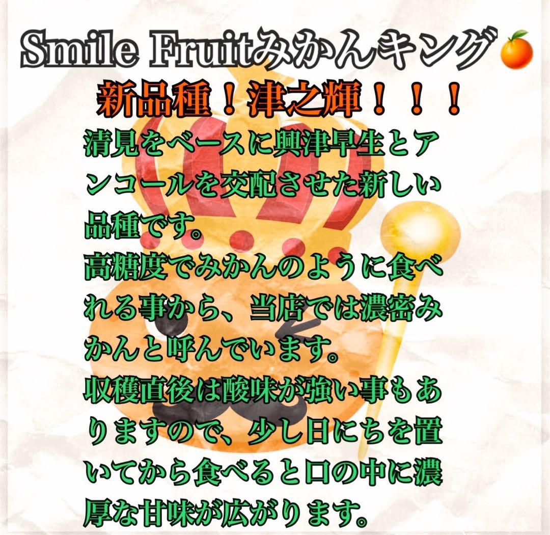 希少柑橘‼️高糖度柑橘‼️和歌山県產　津之輝5kg みかんキング
