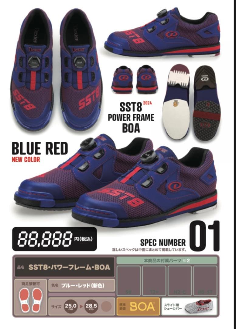 【新品未使用】デクスター SST8パワーフレームBOAブルーレッド 27.0cm