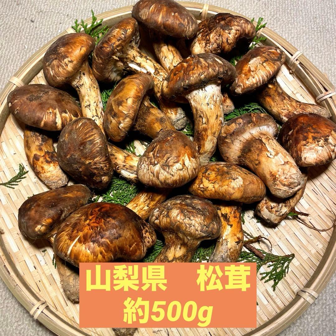 松茸　国産　山梨県　500gセット