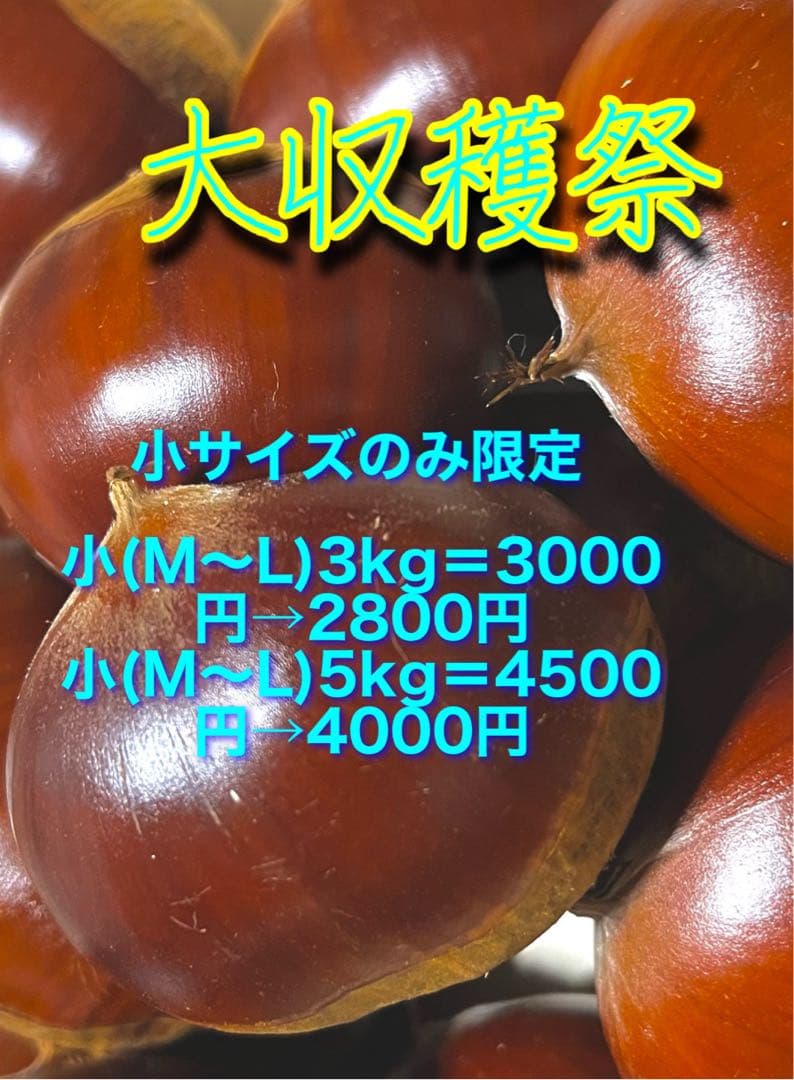 はっちゃんです