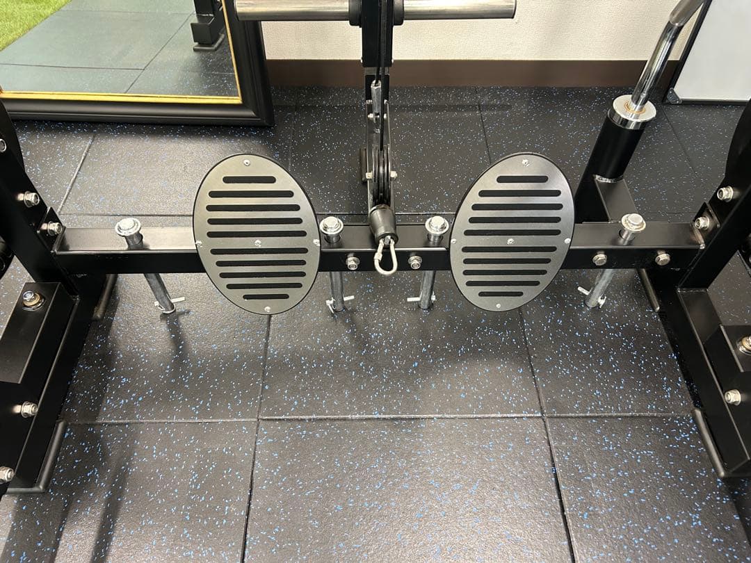 EVOLGEAR エヴォルギア フォールディングパワーラックEVPR-181