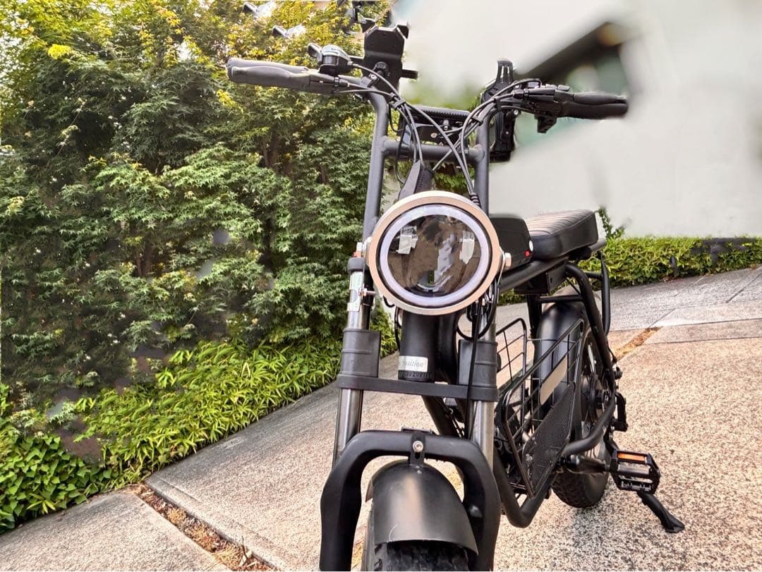 【走行50km未満・トルクセンサー搭載・カスタム有】FLOW BIKE 正規品