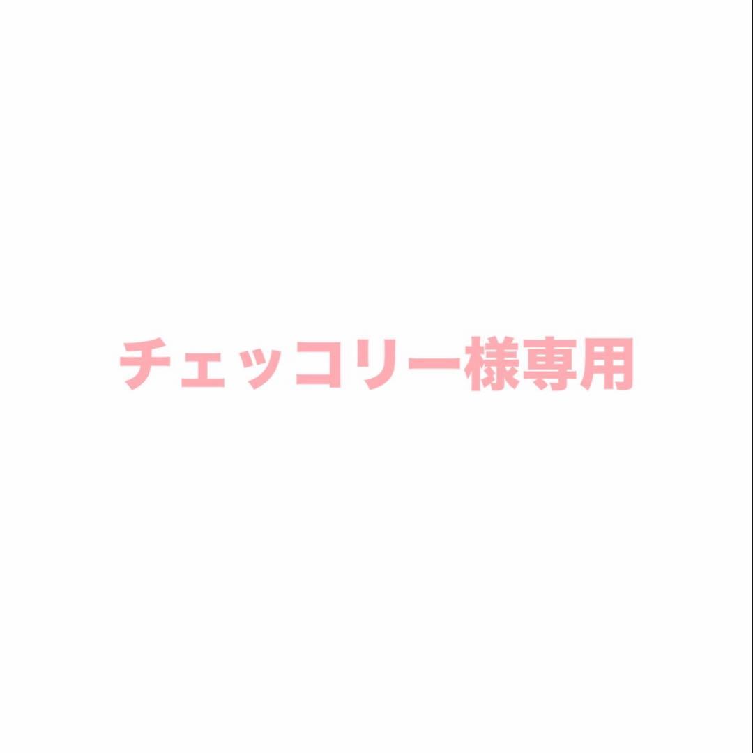 チェッコリーページ