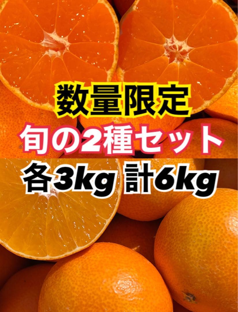 まどんなちゃん8kg南柑20号3kg