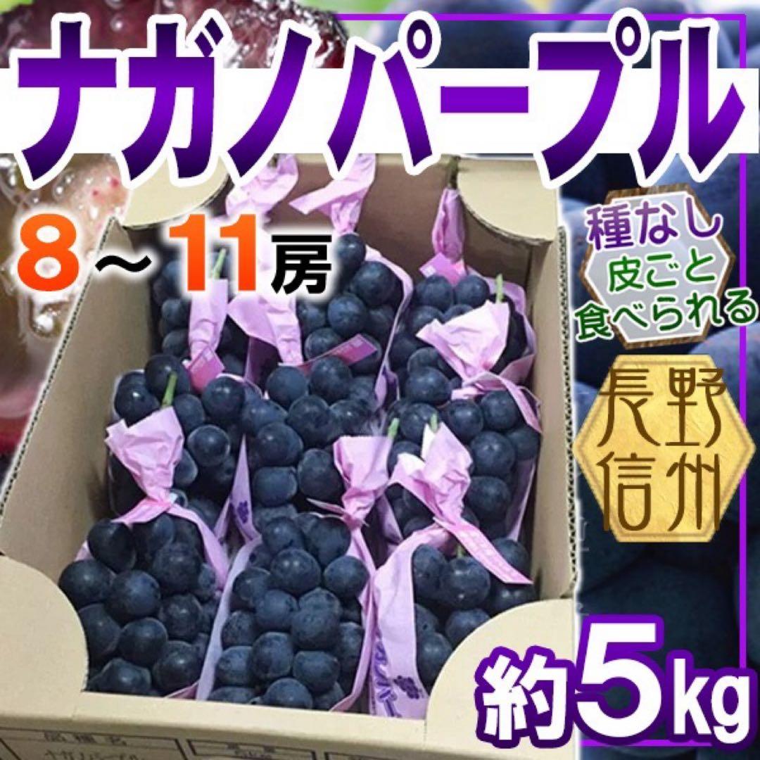 長野県産　ナガノパープル　8~11房　約5kg　クール便発送