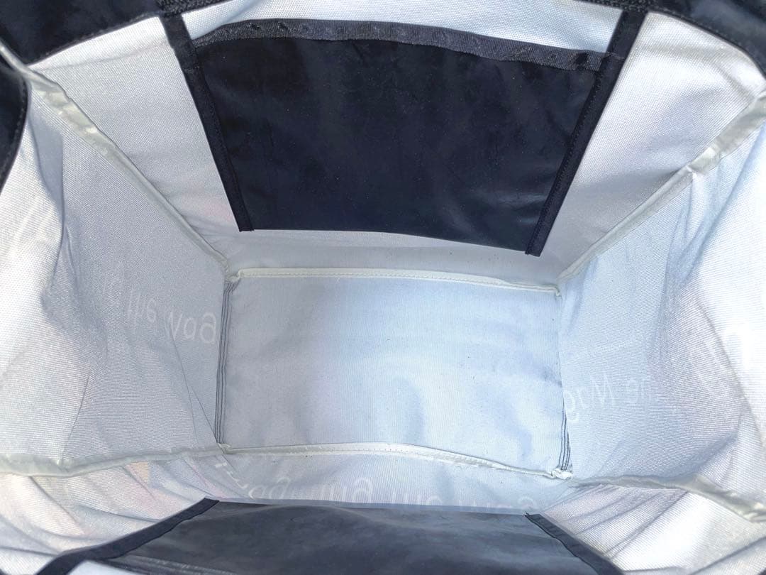 ディズニー イマジニングザマジックバッグ 実写 カメラバッグ＋パスケース2個