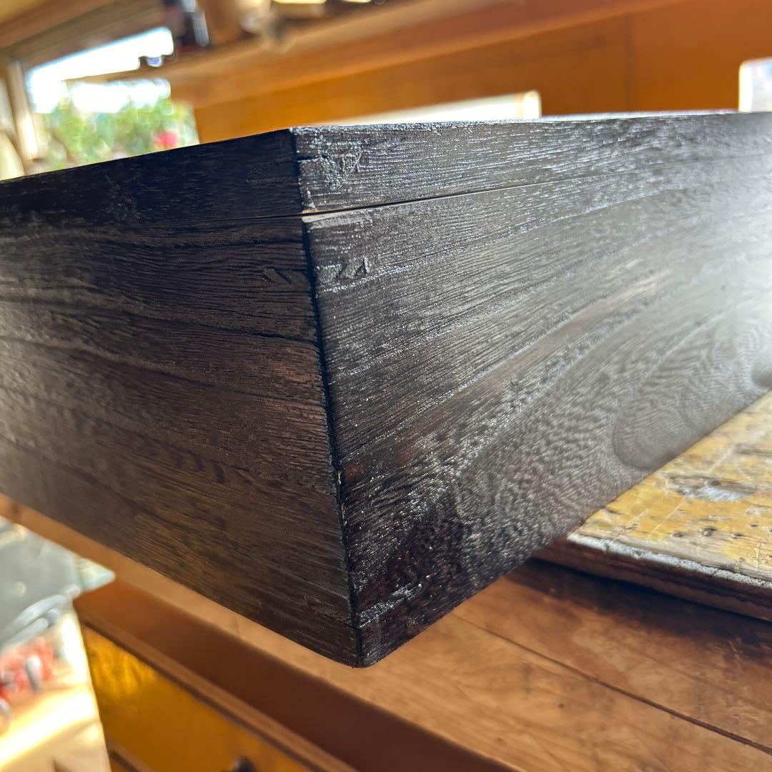 厚型大型標本箱　1箱