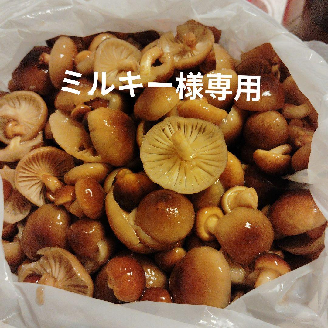 生　なめこ2kg むきだけ2kg!!