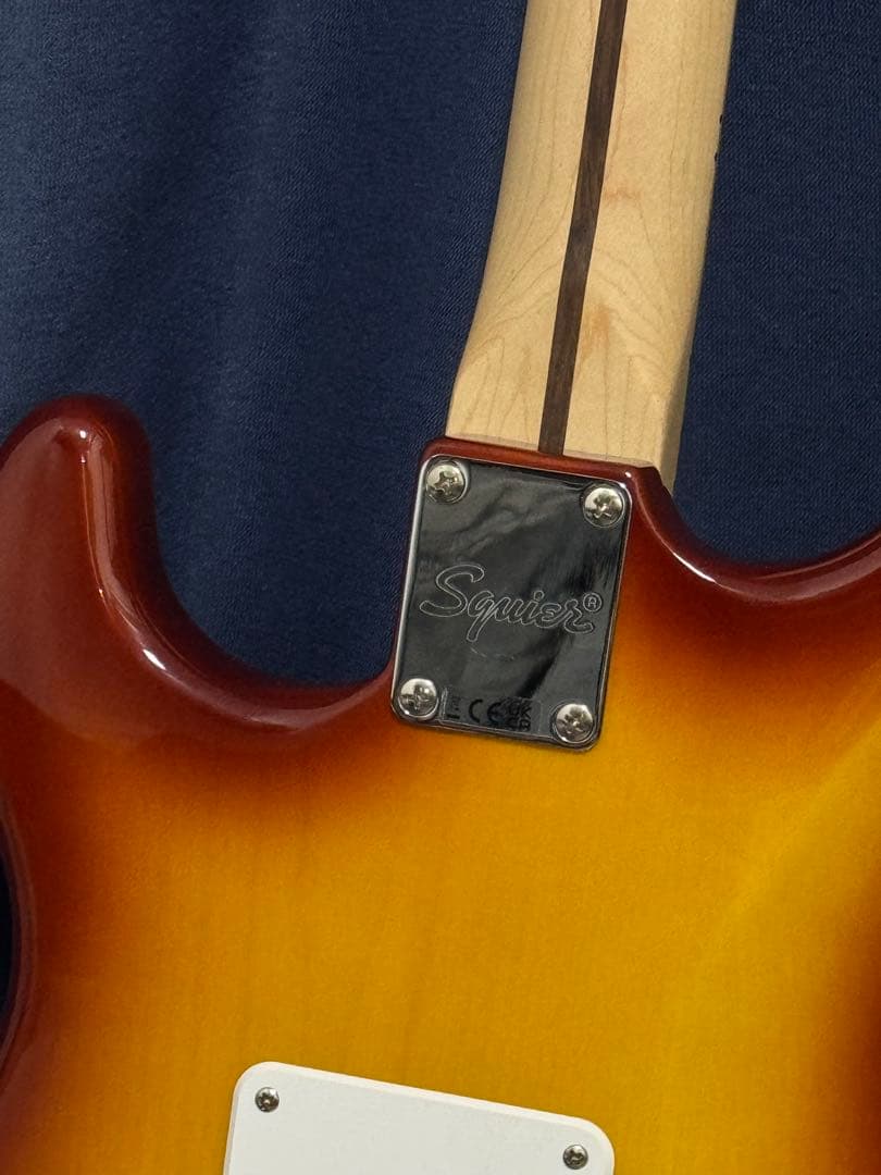 ピカチュウ様専属Squier by Fender Affinity