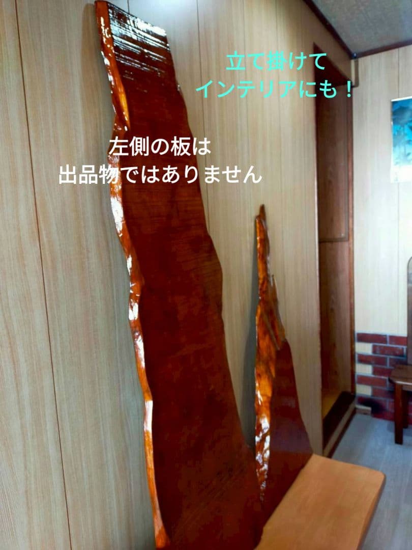 無垢一枚板（鹿児島杉）／天板／研磨＋ニス塗り済／軽量約４kg／テーブル／DIY