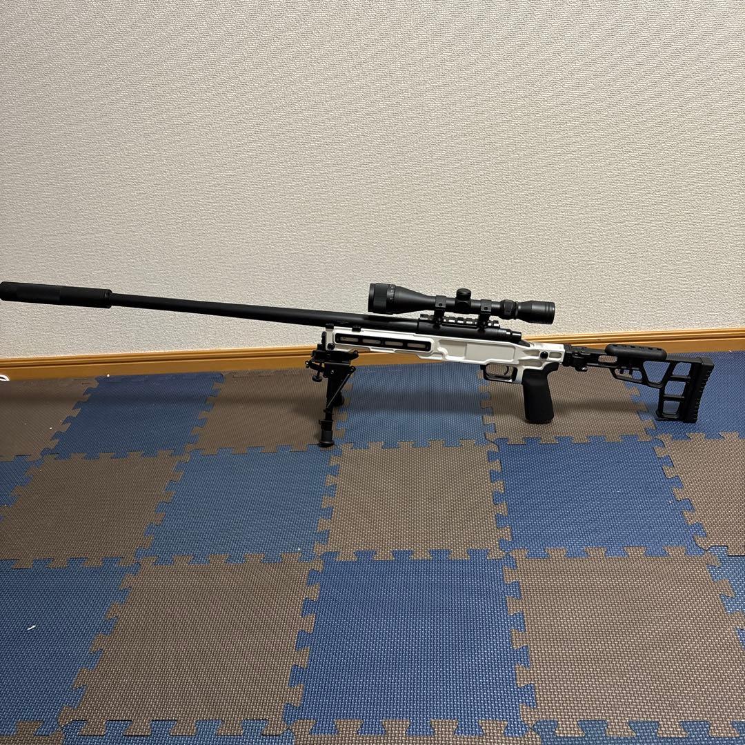 VSR-10 メイプルリーフストック