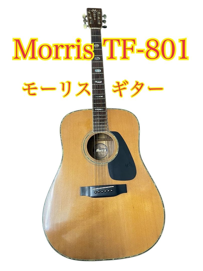 ❷Morris TF-801 アコースティックギター モーリス　楽器