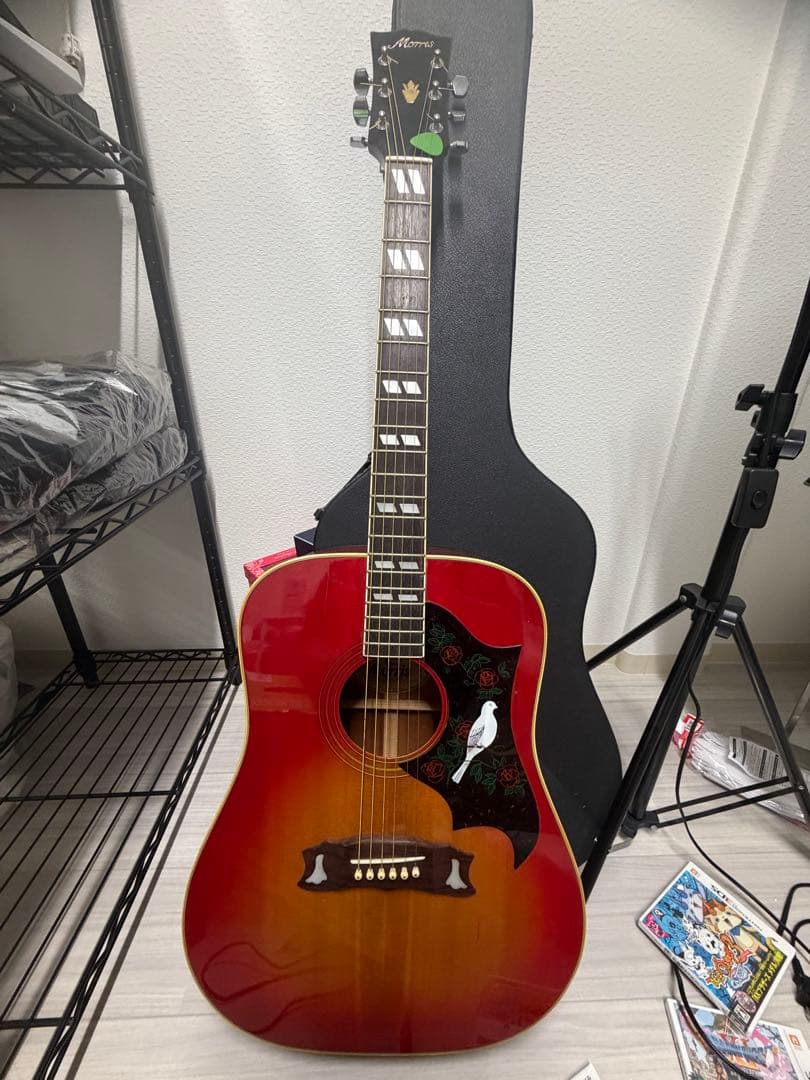MORRIS ハミングバードDOVE WD−25 チェリーサンバースト