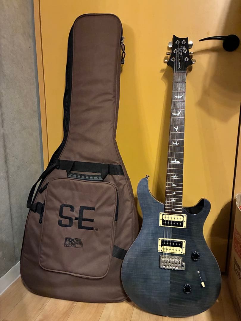 コルグ PRS SE Custom 24 (WMI製)