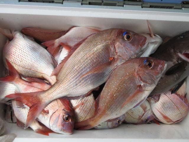 爆釣トリオ100g 計3個 タイラバ タングステン