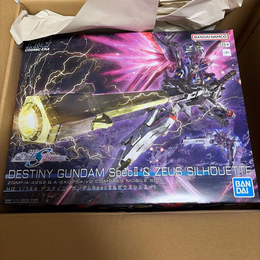 HG1/144デスティニーガンダムS pecⅡ&ゼウスシルエット　初版