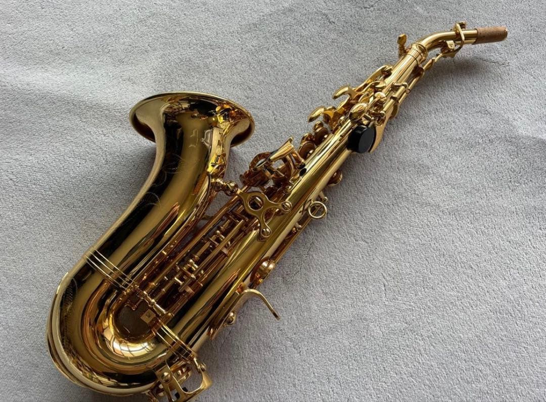 【今月限定新品】カーブドソプラノサックス 唯一無二の音色！動画あり・豪華特典つき