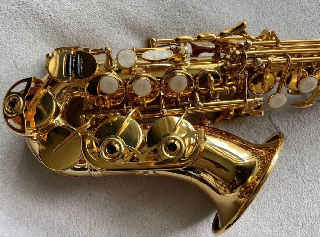 【今月限定新品】カーブドソプラノサックス 唯一無二の音色！動画あり・豪華特典つき