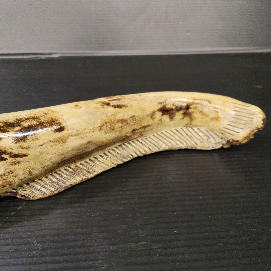 香楽 陶器製 鯰 書付有り なまず 時代