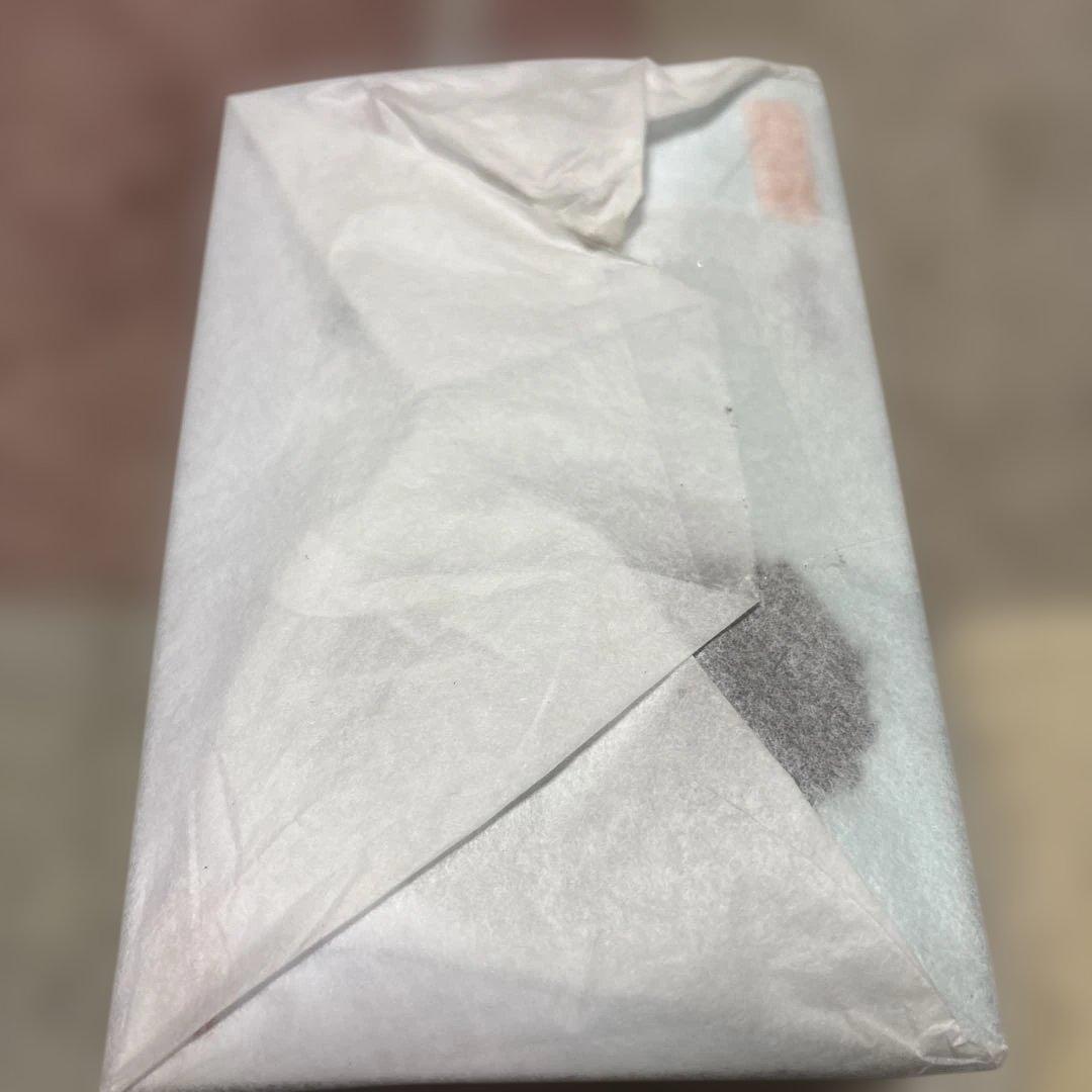 スターレイル　ねんどろいど　丹恒　フィギュア　新品　未開封