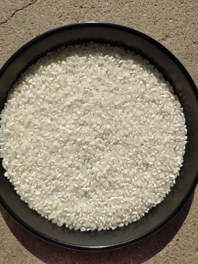 令和7年 三重県産コシヒカリ 20㎏