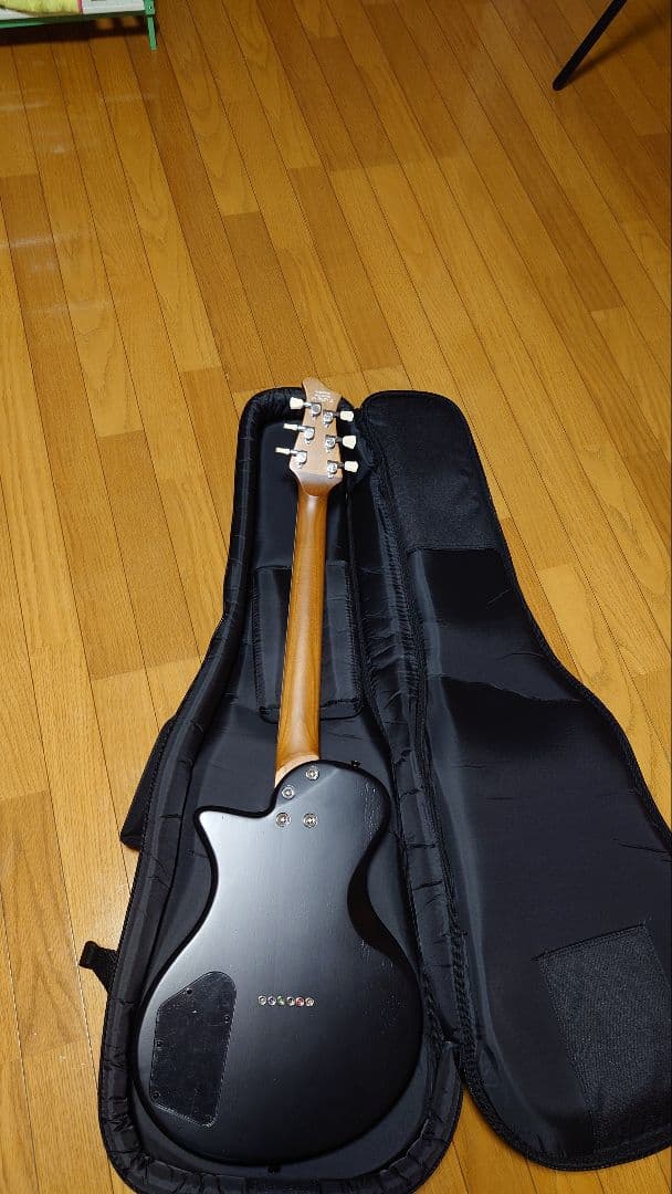 エレキギターハムバッカーベイクドメイプルネック リョウガ ケース付き
