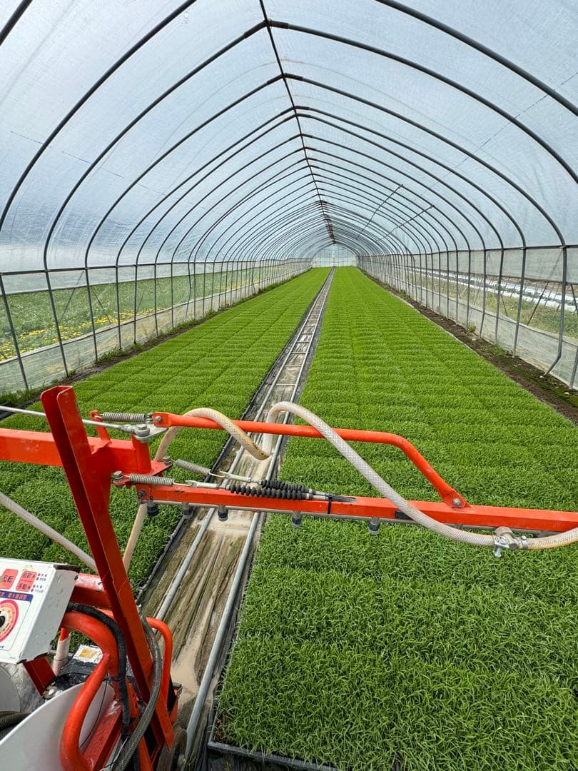 新米＊玄米＊ななつぼし＊農家直送＊北海道産＊美味しいお米＊5キロ×2