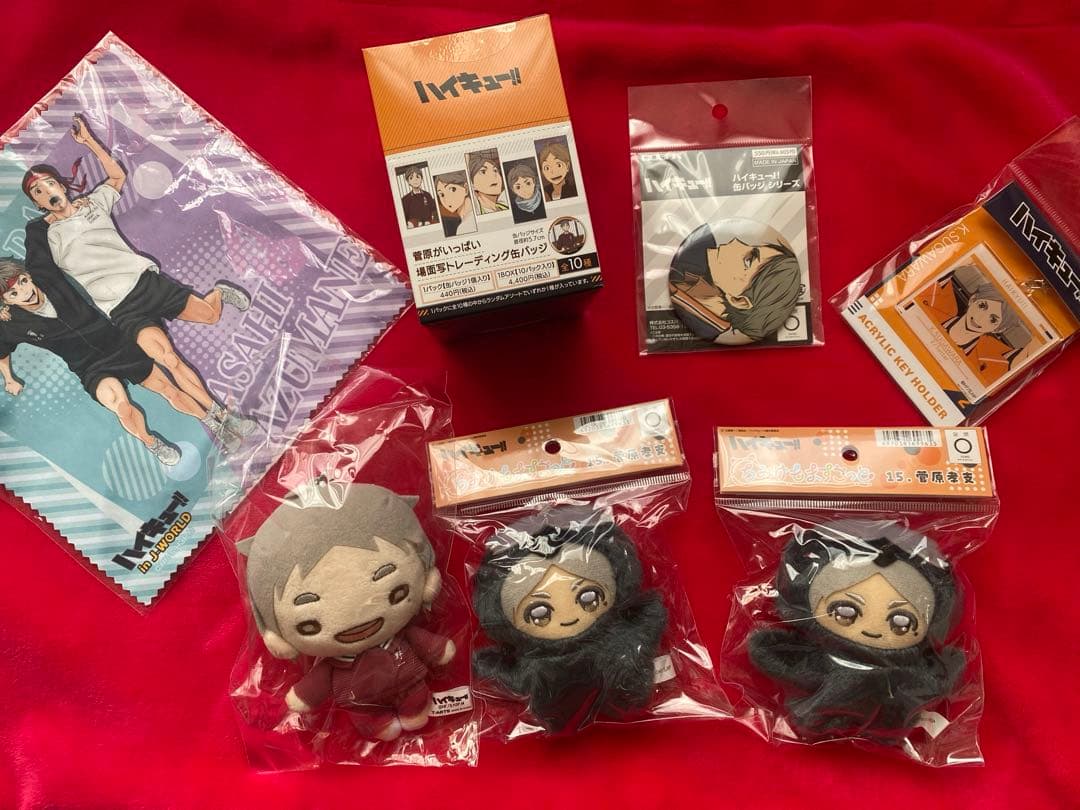 ハイキュー　菅原孝支　まとめ売り