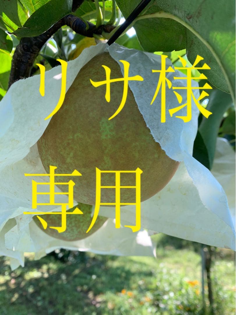 リサ　南水　贈答用と甘太家庭用