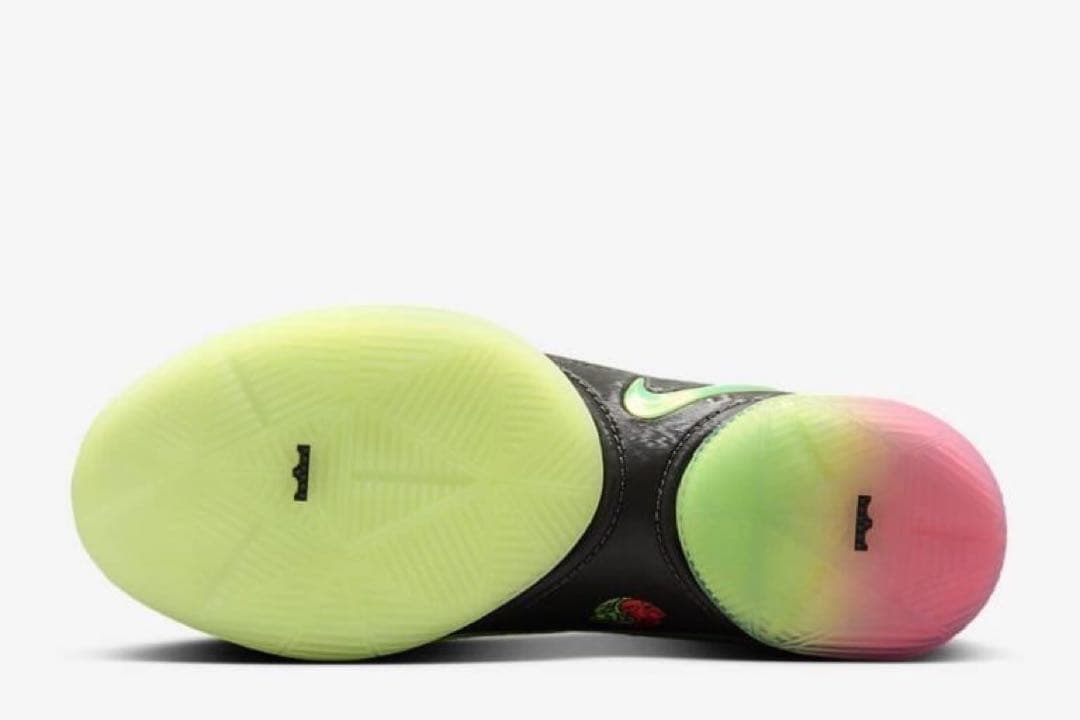 新品未使用　海外限定　ナイキ レブロン 22 EP