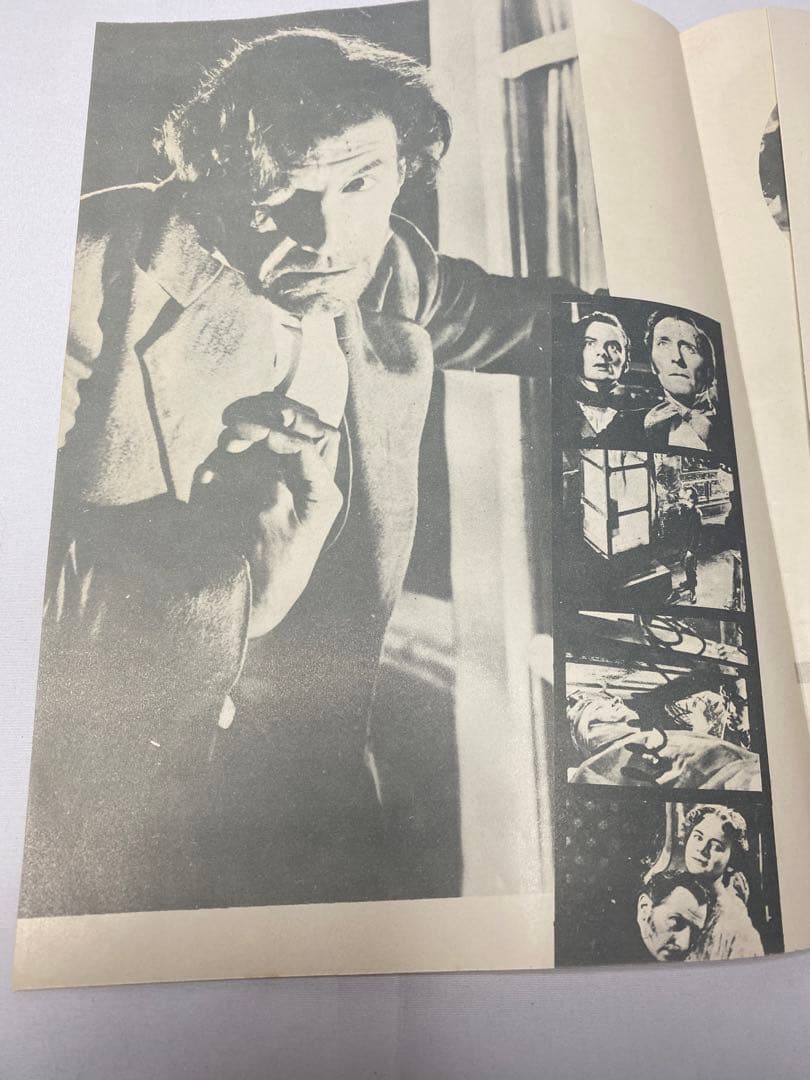 ★フランケンシュタインの復讐★映画パンフレット★当時物★激レア★逆襲の続編