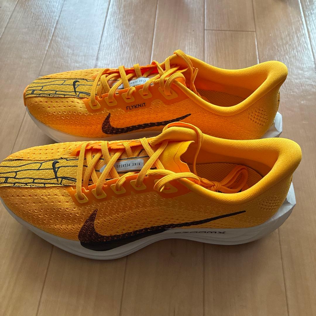 【25.5cm】NIKE ペガサス プラス 美品 ランニング・通勤用