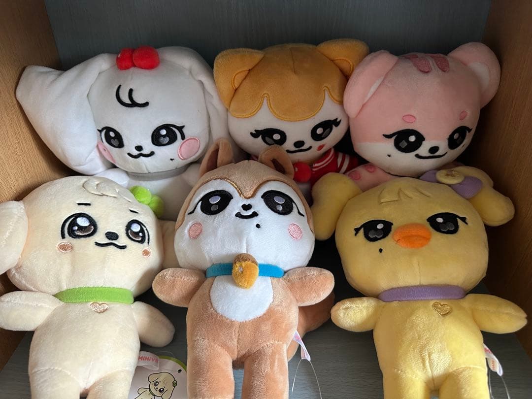 MINiVE 6個セット