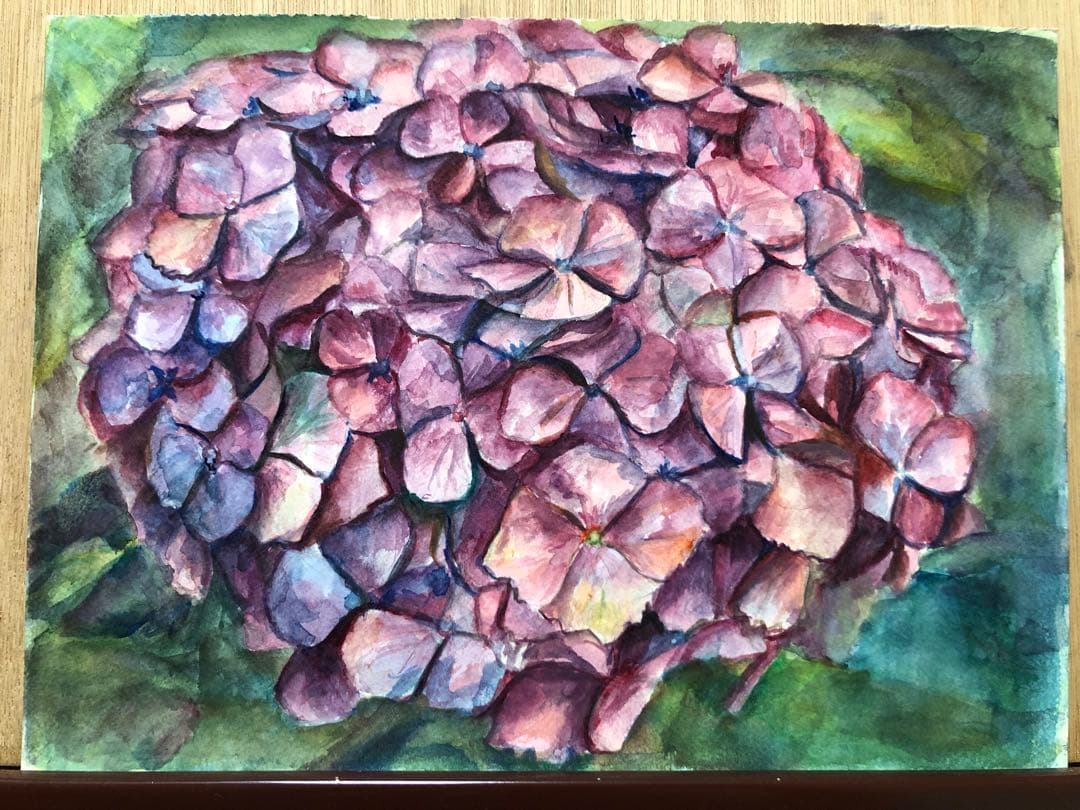 紫陽花　絵