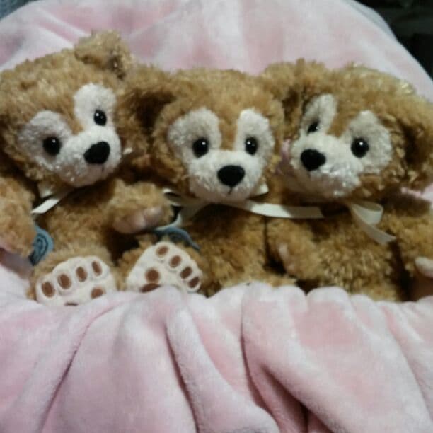 かなるん様　ご確認ページ