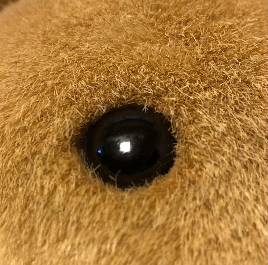 セキグチ　ウミガメ　亀　かめ　Earth Wind ぬいぐるみ