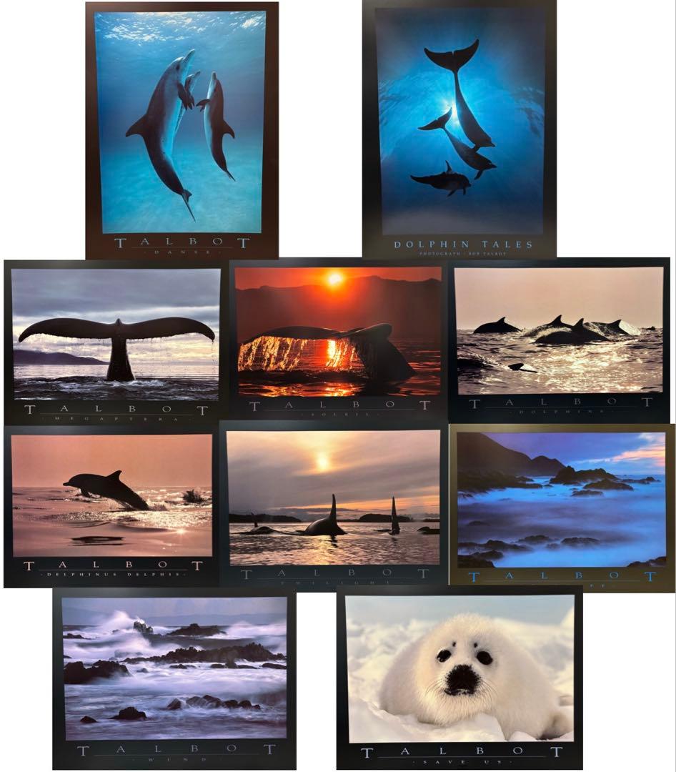 Bob Talbot 80s vintage poster 10種セット