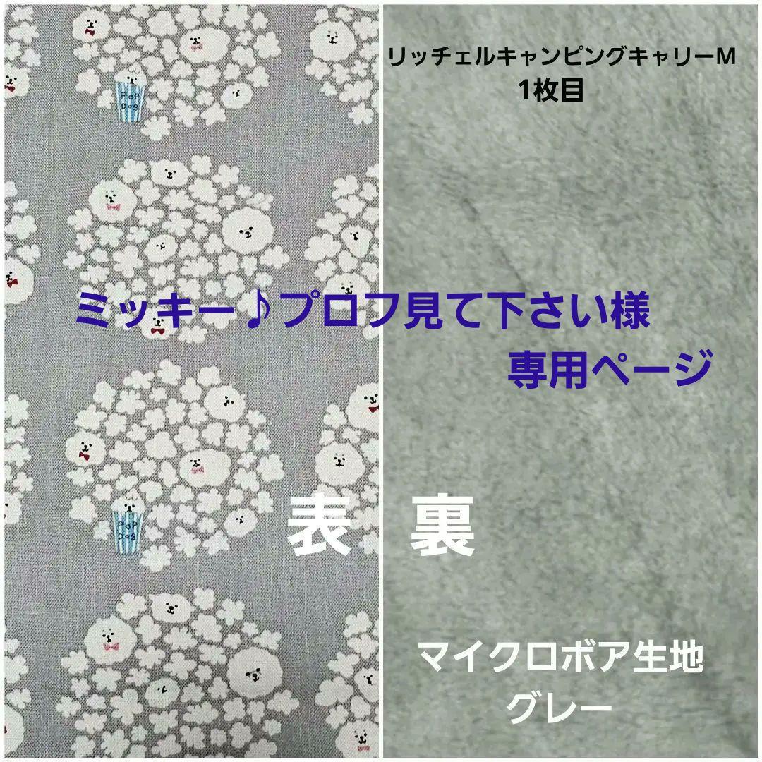 ミッキー♪プロフ見て下さいページ #2365